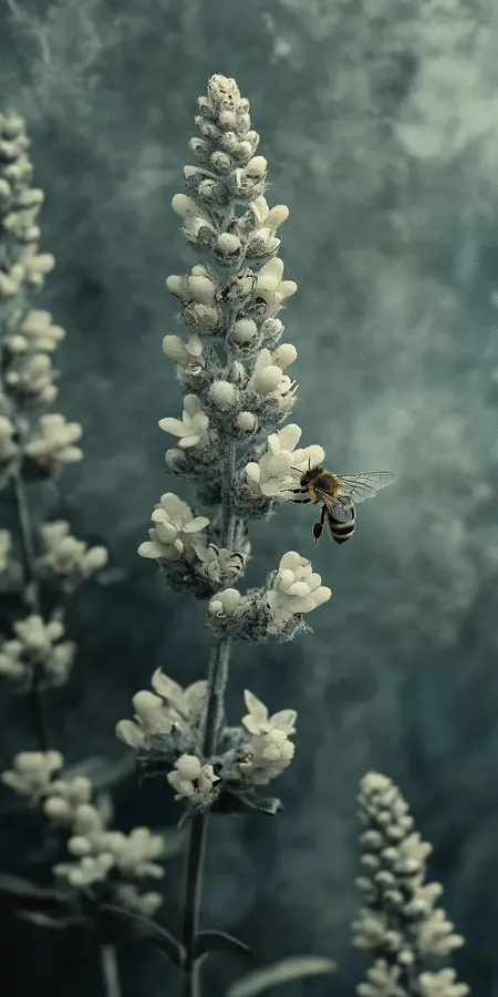 fond d ecran abeille pour mobile 44