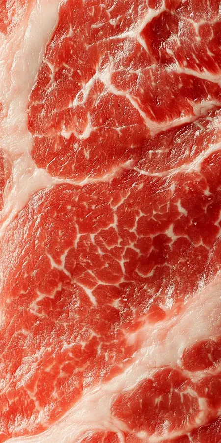 fond d ecran viande pour mobile 10