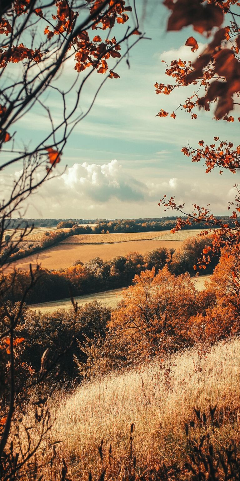 Fond d'écran automne pour mobile 14