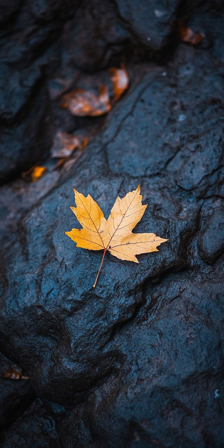 Fond d'écran automne pour mobile 19