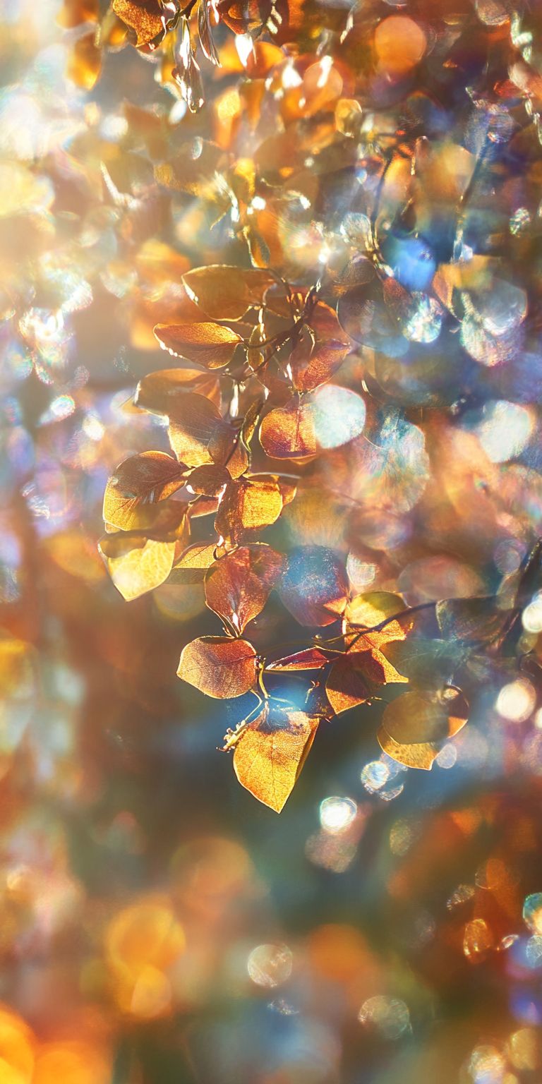 Fond d'écran automne pour mobile 31