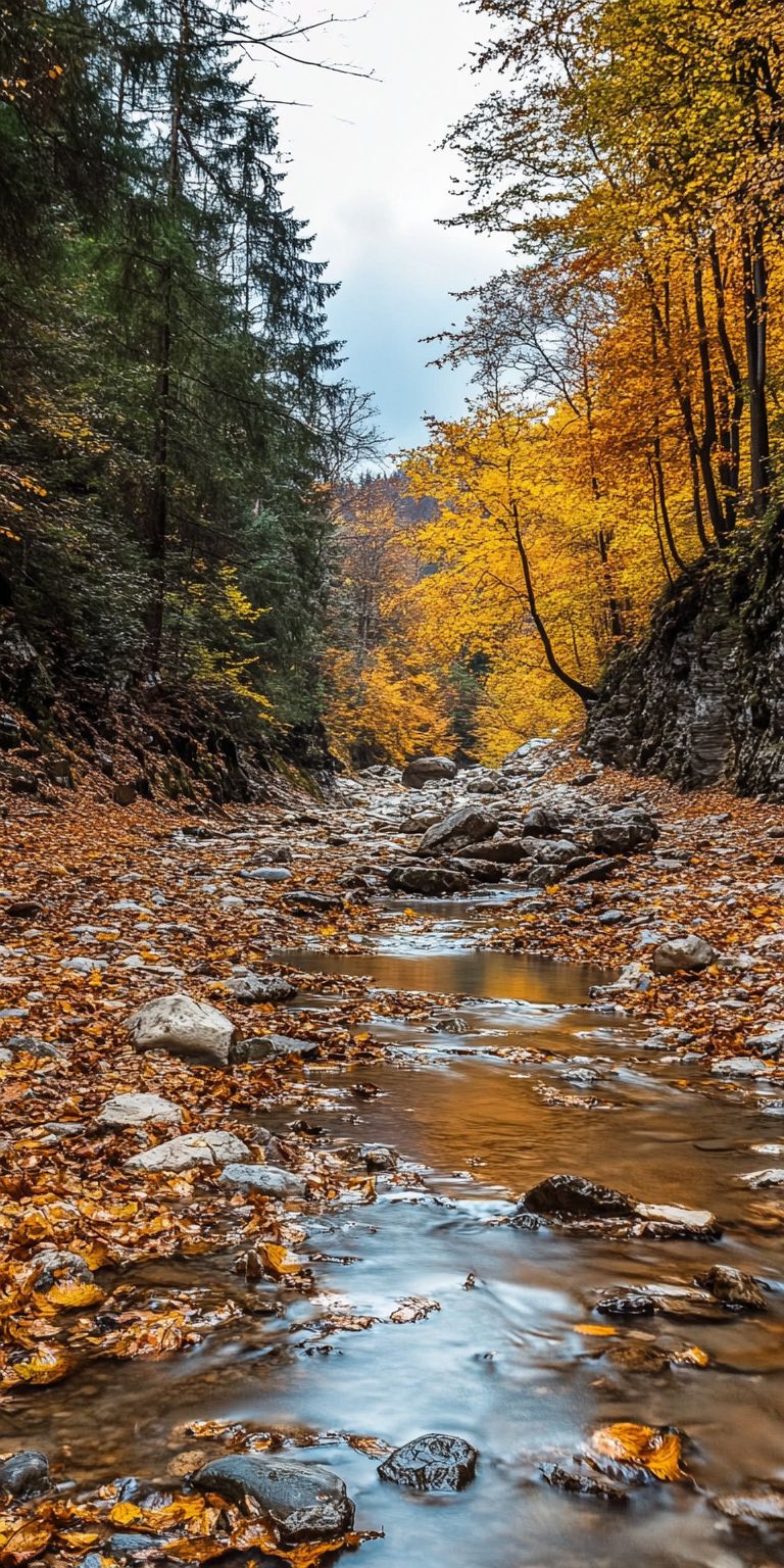 Fond d'écran automne pour mobile 48