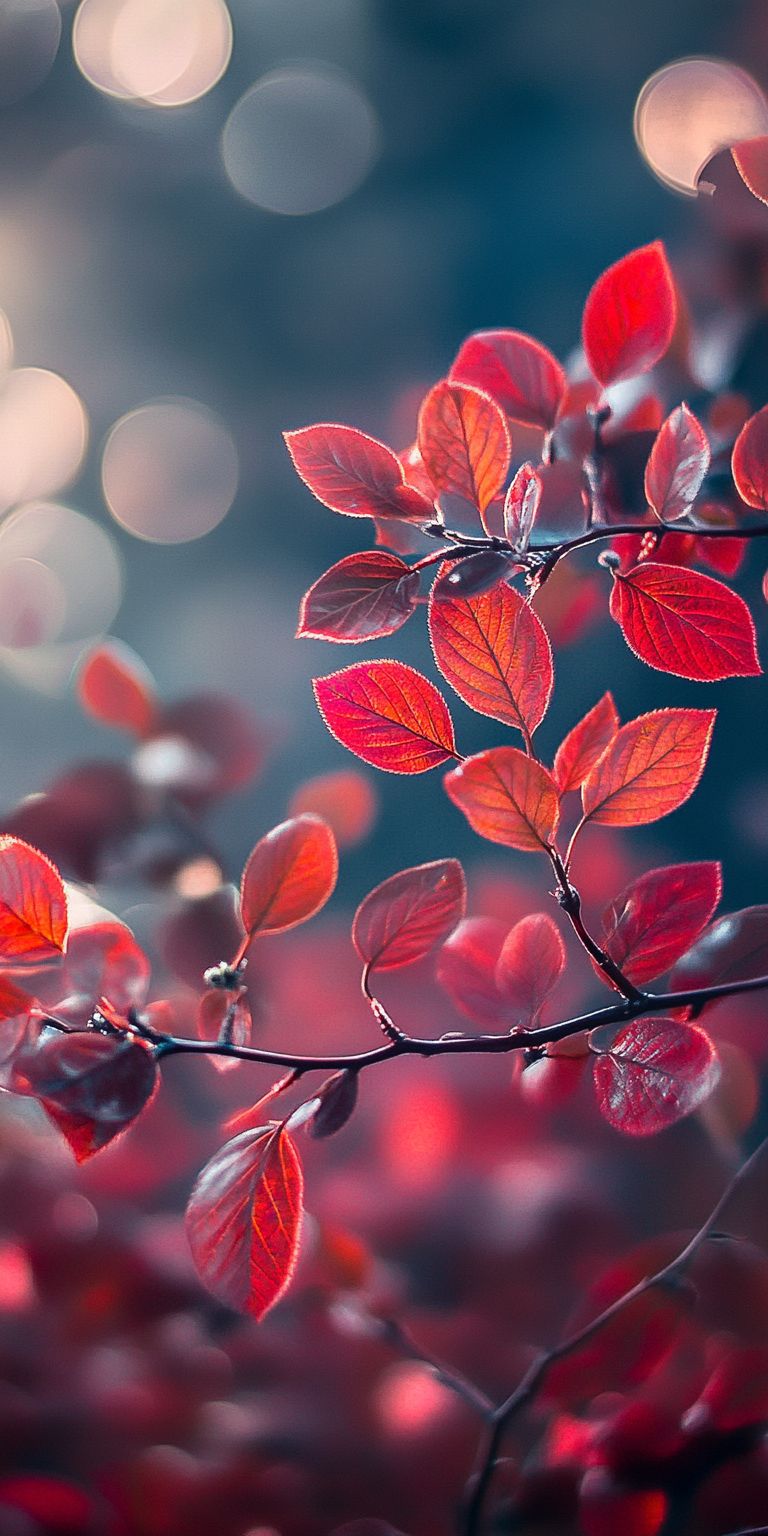 Fond d'écran automne pour mobile 50