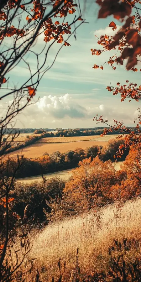 fond d ecran automne pour mobile 14