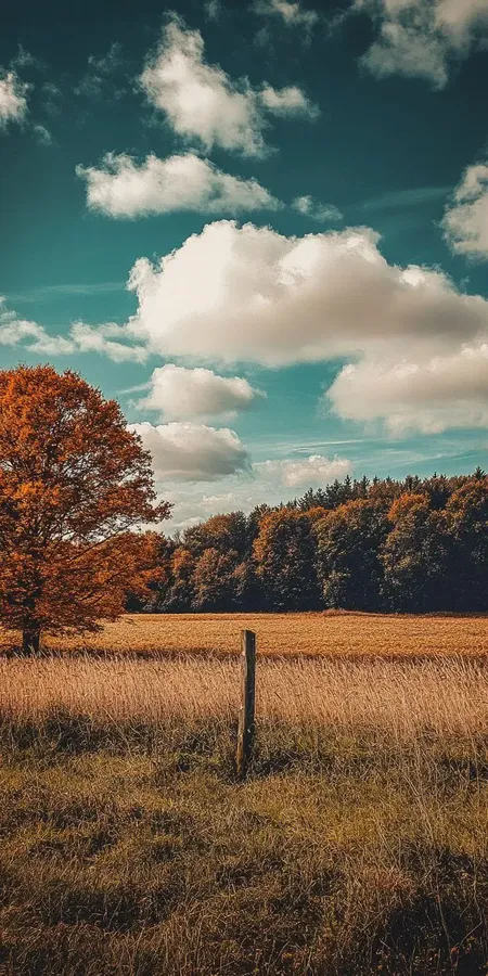 fond d ecran automne pour mobile 15