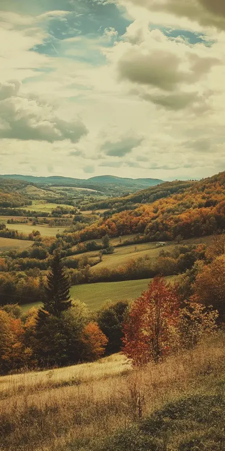 fond d ecran automne pour mobile 17