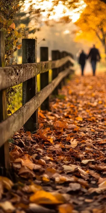 fond d ecran automne pour mobile 7