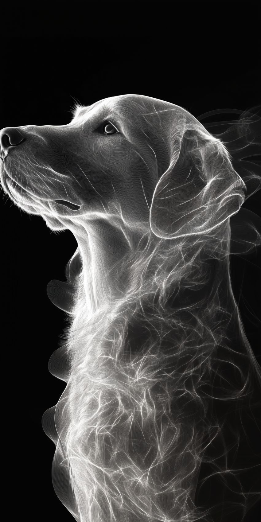 Fond d'écran mobile chien wallpaper smartphone 4