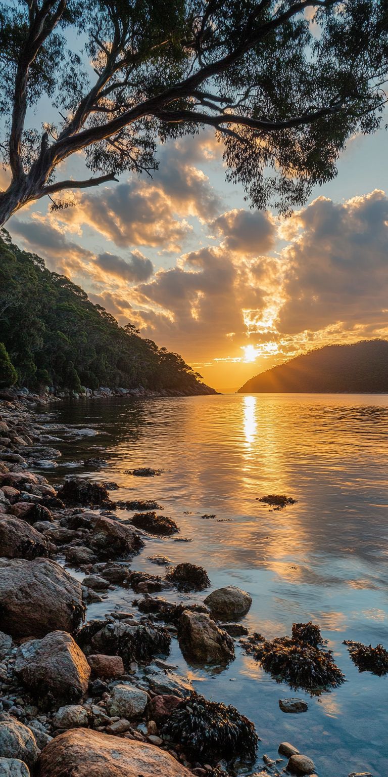 Fond d'écran coucher de soleil pour mobile 50