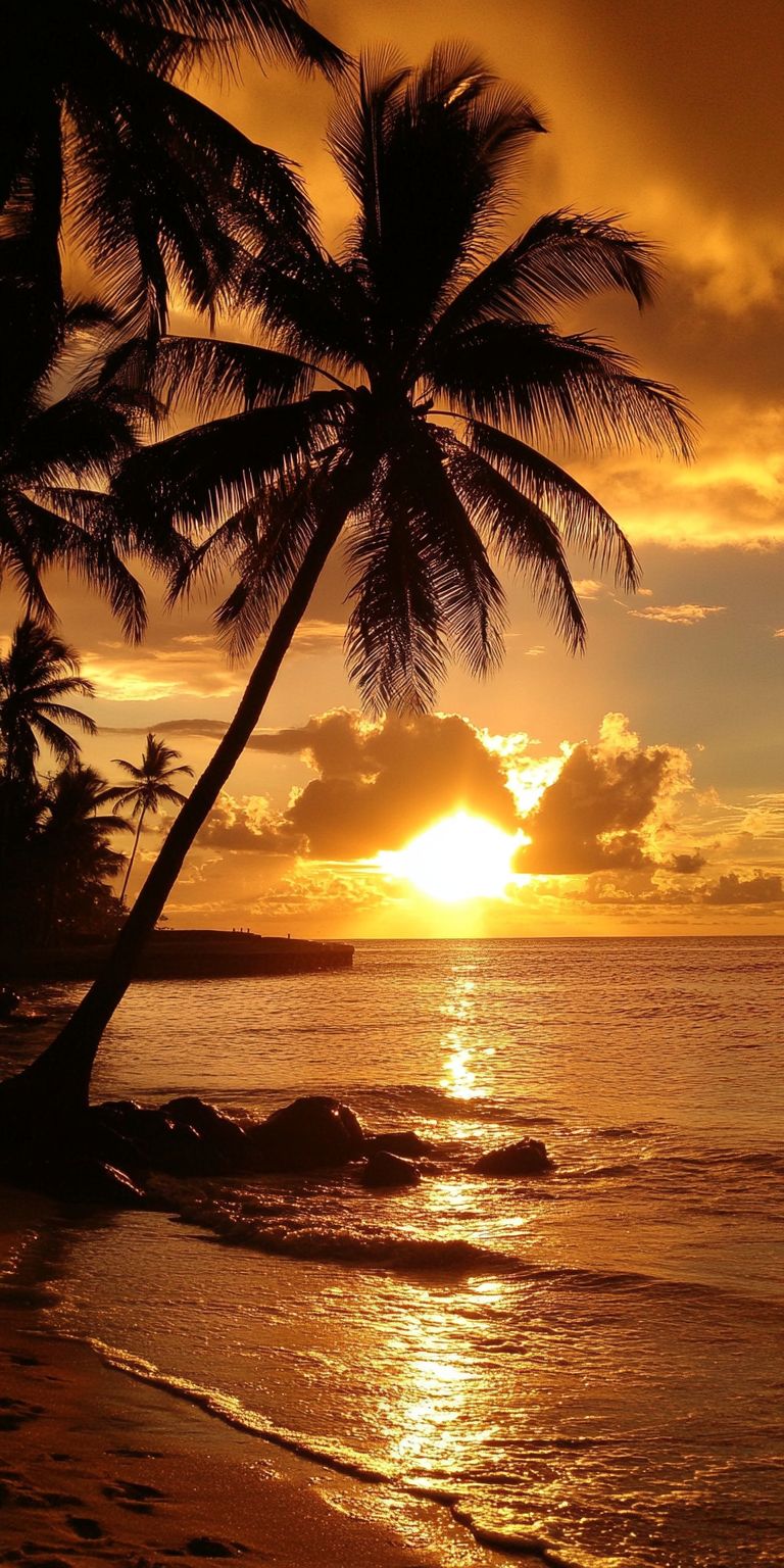 fond d ecran coucher de soleil pour mobile 65