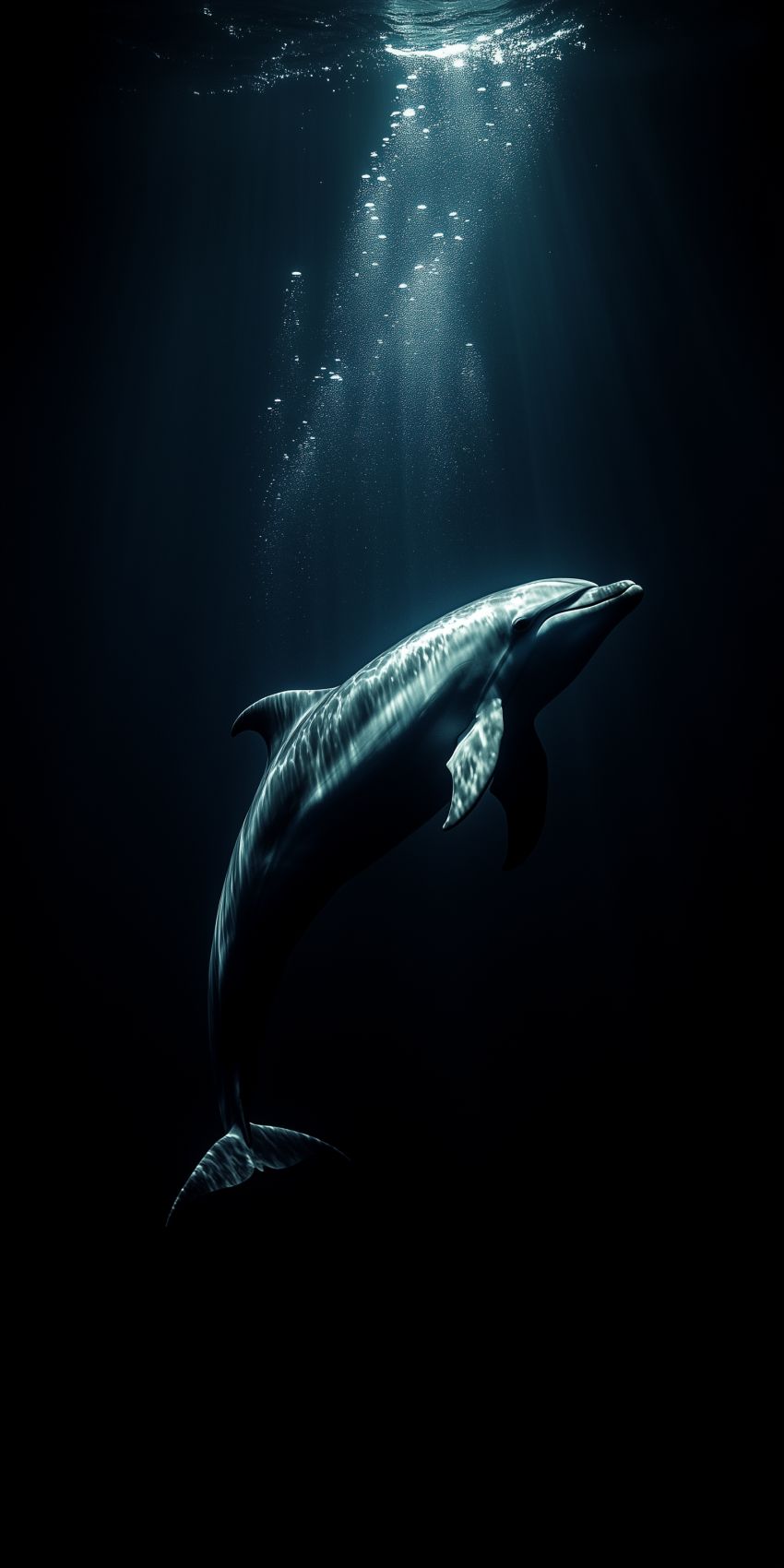 Fond d'écran dauphin pour mobile 3