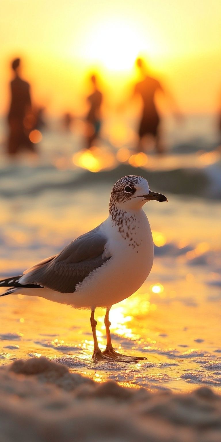 Fond d'écran ete pour mobile 4