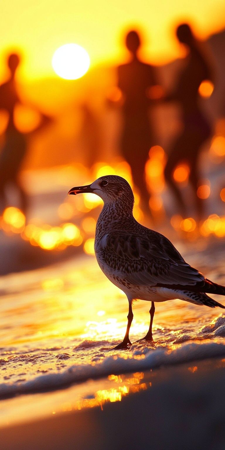 Fond d'écran ete pour mobile 6