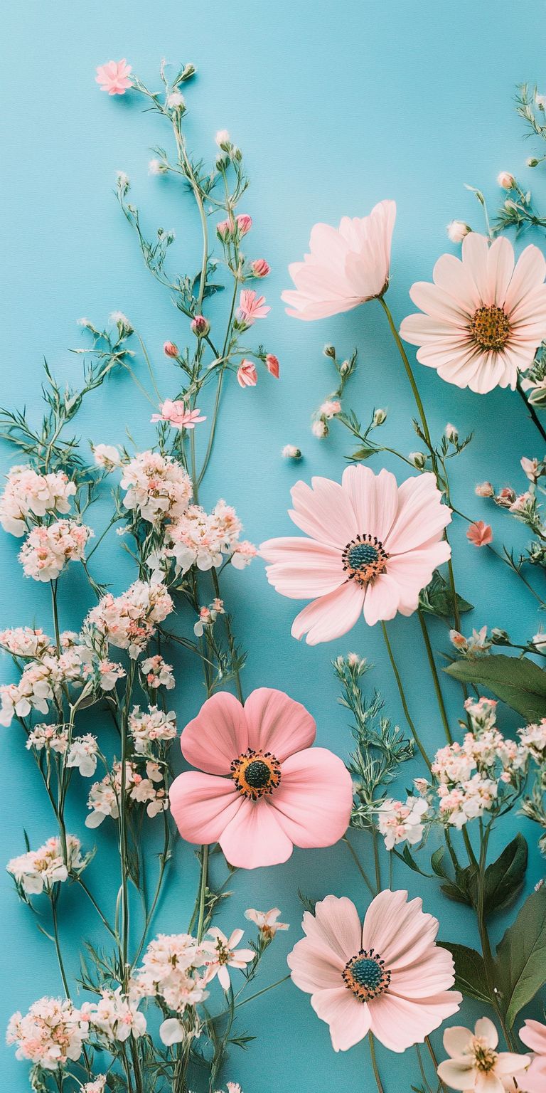 Fond d'écran Mobile Fleurs Pastel sur Fond Bleu : Douceur et Sérénité Printanière