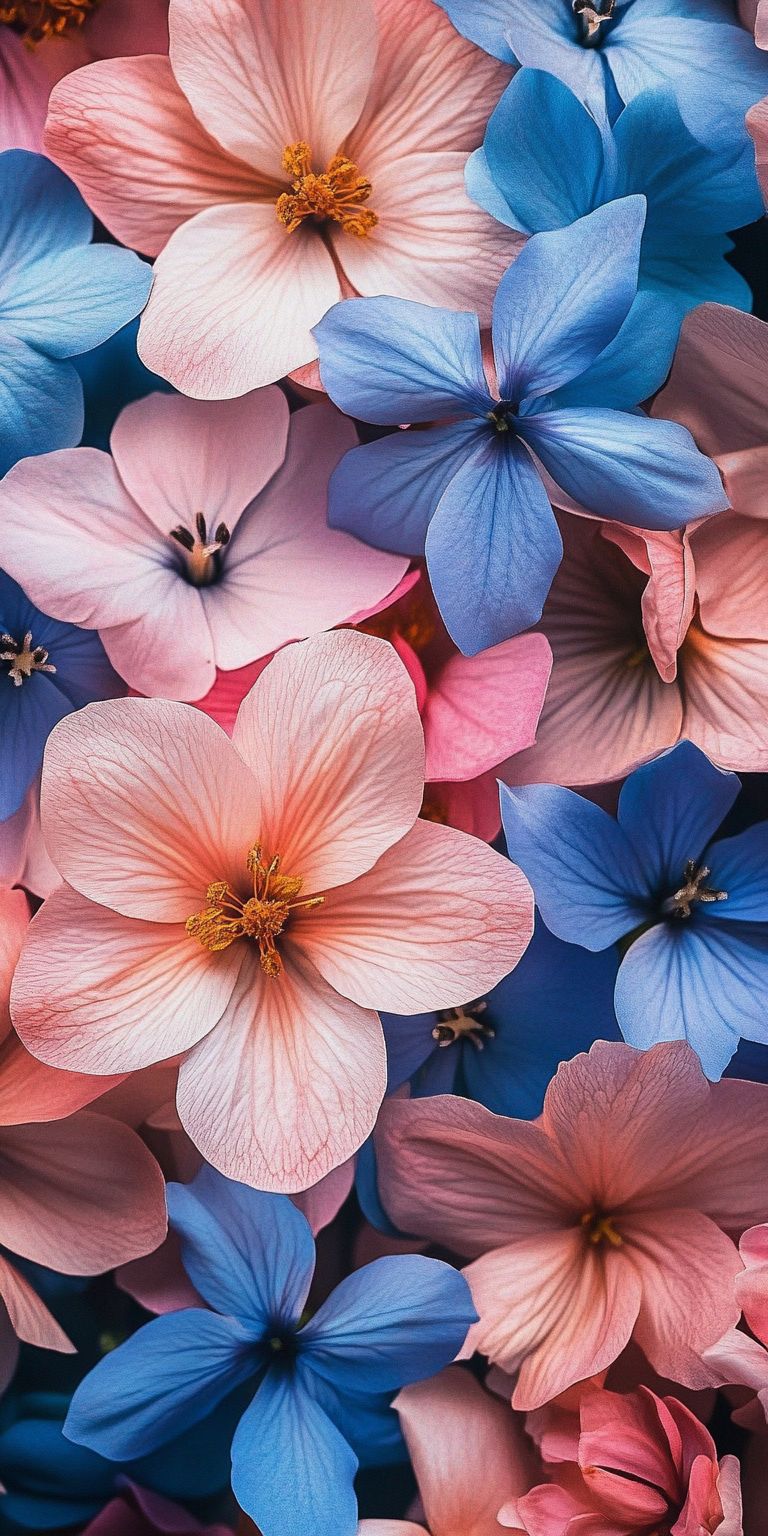 Fond d'écran Mobile Harmonie Florale : Roses et Bleus Pastel Éclatants