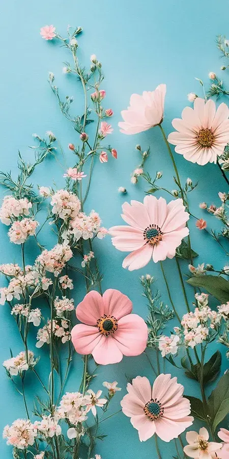 fond d ecran fleur pour mobile 27