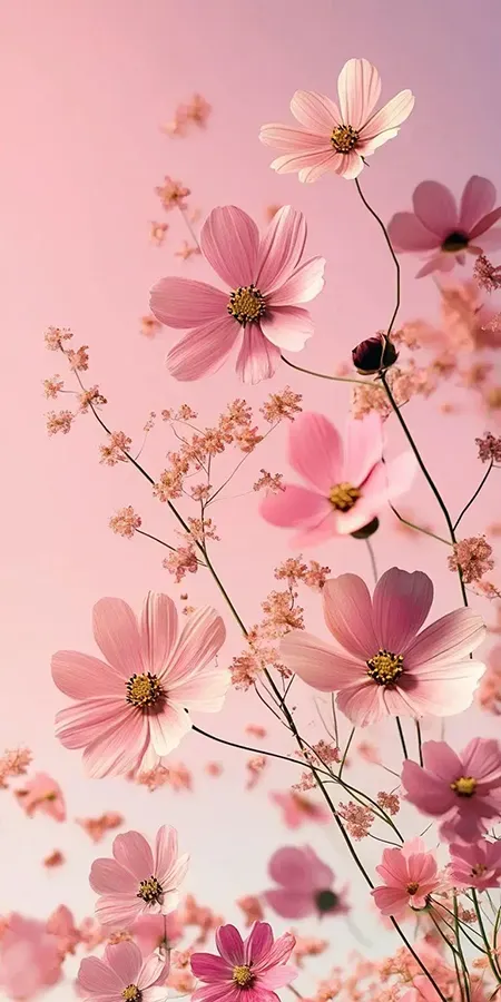 fond d ecran fleur pour mobile 39