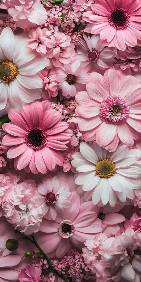 Fond d'écran Mobile Bouquet Rose et Blanc : Gerberas et Fleurs Délicates