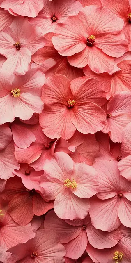 mer Fond d'écran Mobile Mer de Fleurs Roses : Douceur et Profondeur de Teintes recherche par mot clé unique.