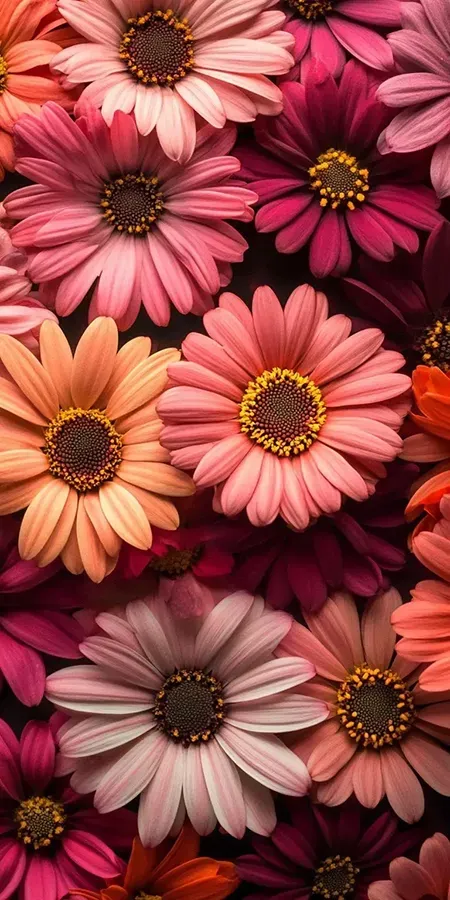 fond d ecran fleur pour mobile 69