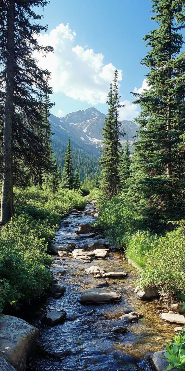 fond d ecran foret pour mobile 10