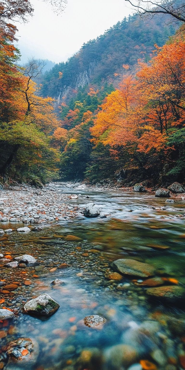 Fond d'écran foret pour mobile 28