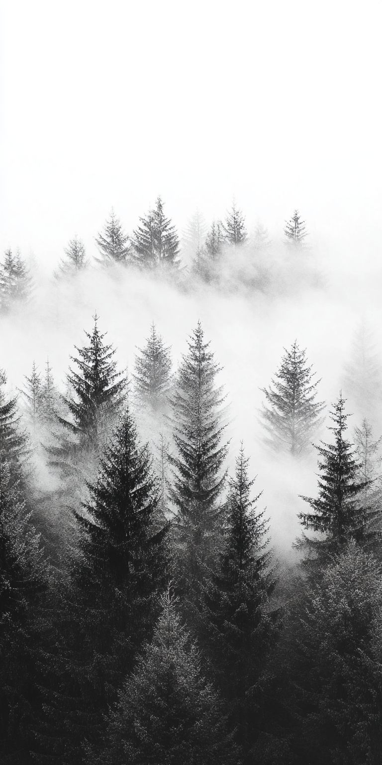 Fond d'écran foret pour mobile 4