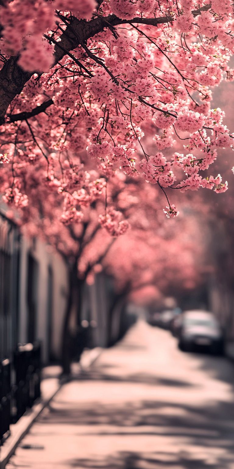 Fond d'écran girly pour mobile 128