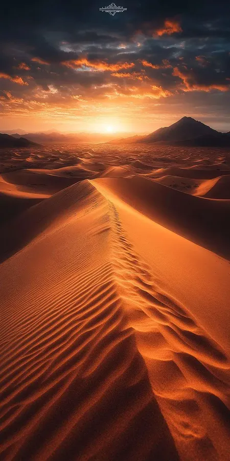 fond d ecran mobile incroyable nature 11