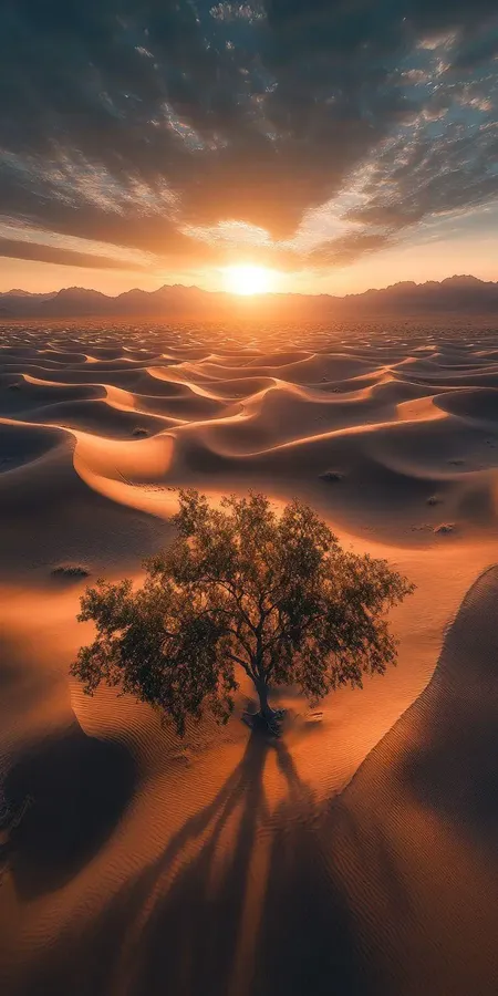 fond d ecran mobile incroyable nature 122