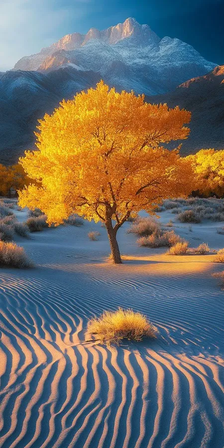 fond d ecran mobile incroyable nature 46