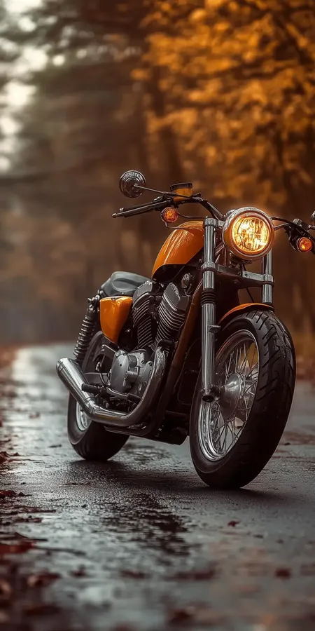 Fond d'écran mobile moto 38