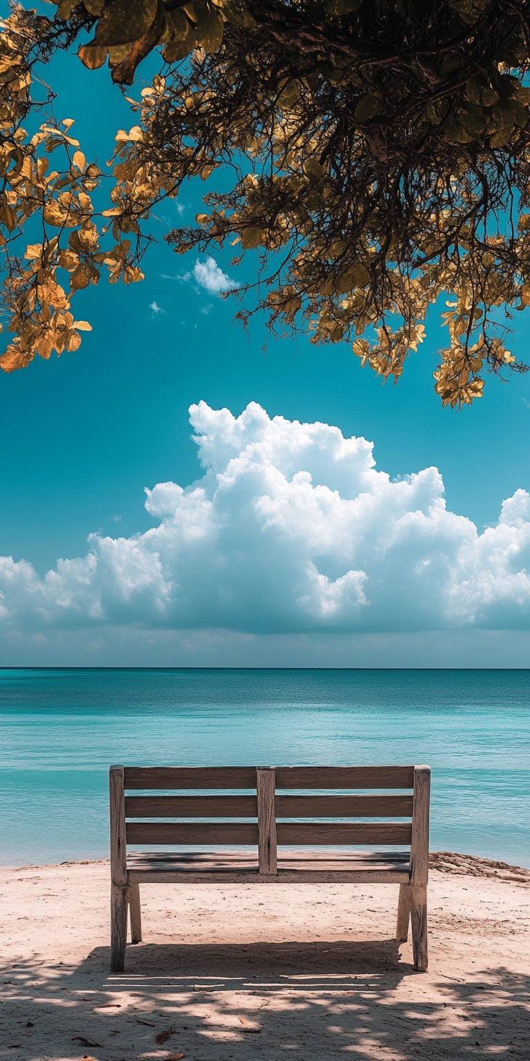 Fond d'écran nature relaxation pour mobile 28