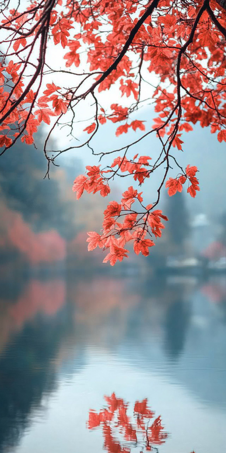 Fond d'écran nature relaxation pour mobile 56