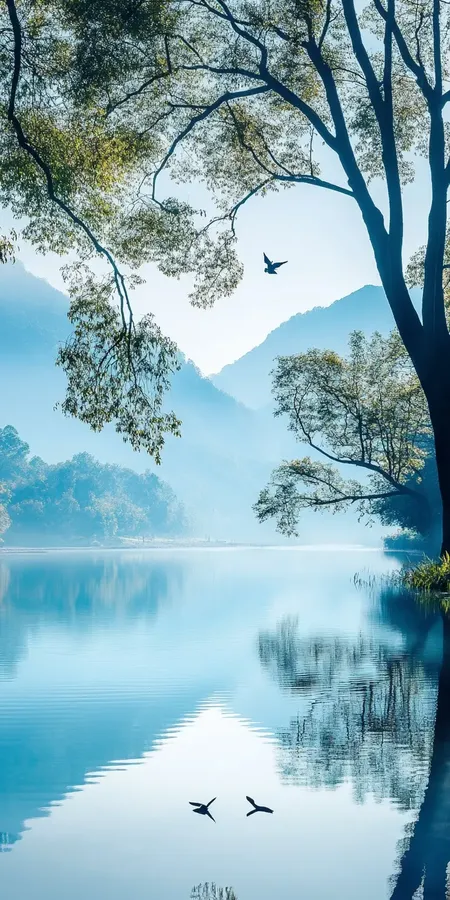 fond d ecran nature relaxation pour mobile 78