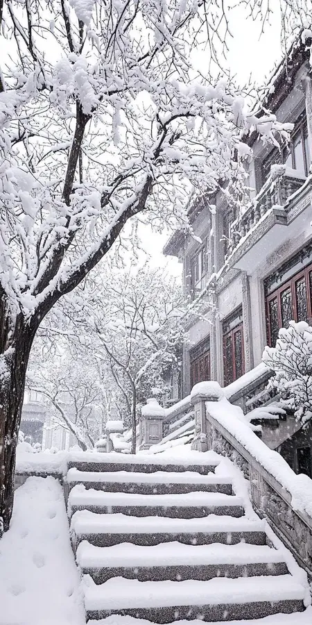 Fond d'écran neige pour mobile 60