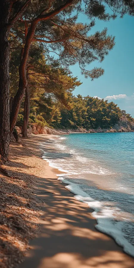 fond d ecran plage pour mobile 78