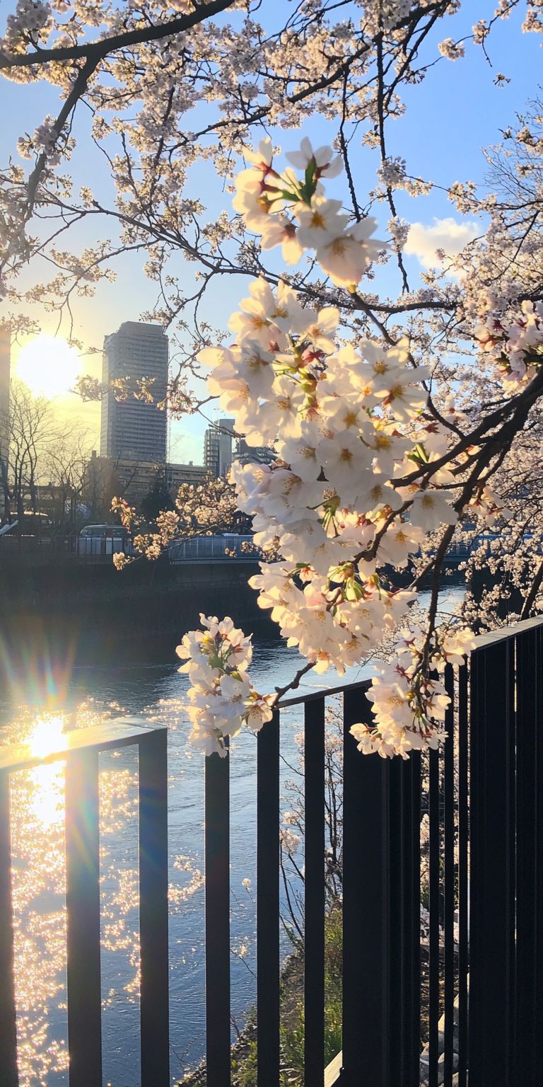 Fond d'écran printemps pour mobile 2