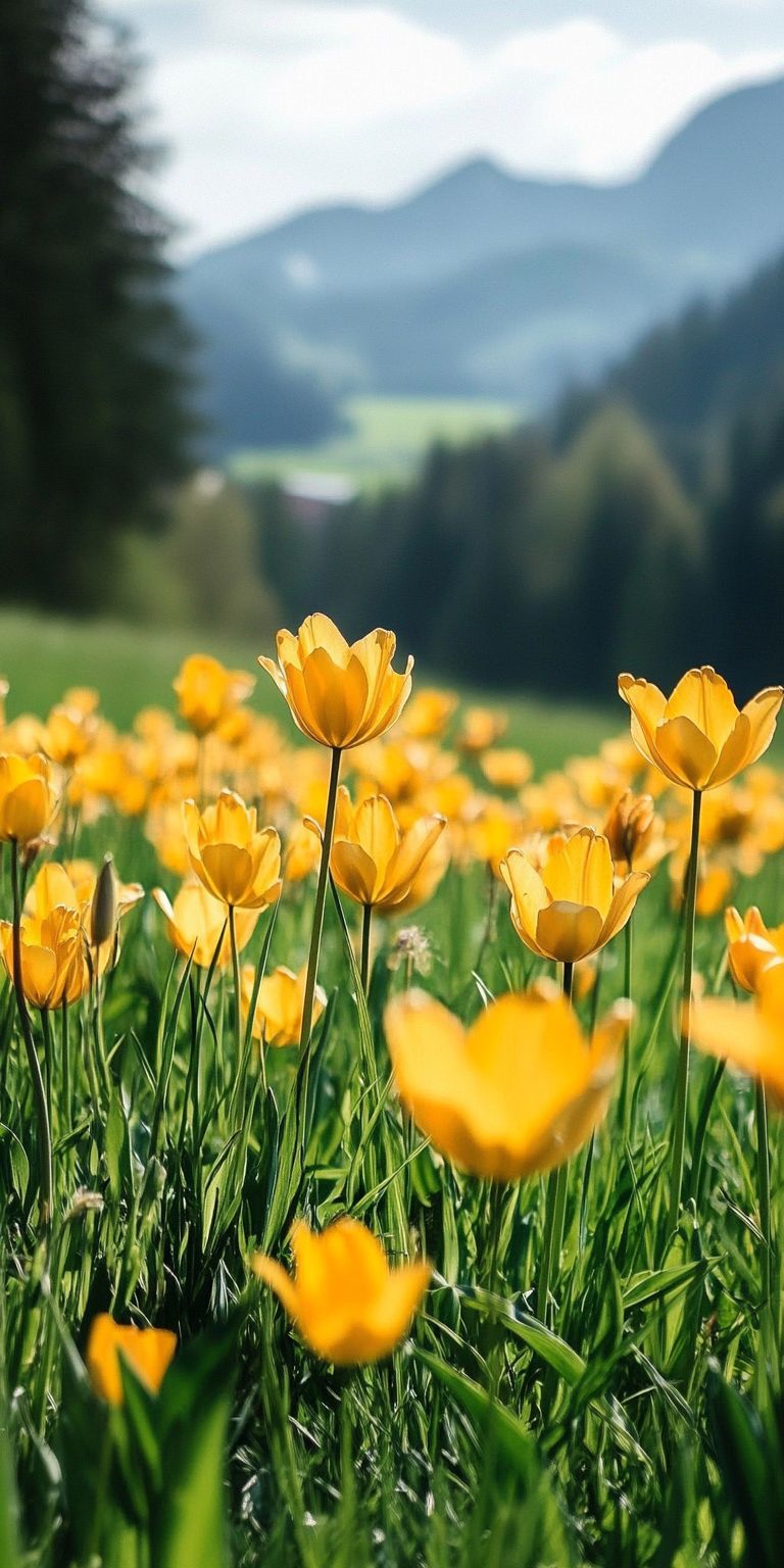 Fond d'écran printemps pour mobile 21