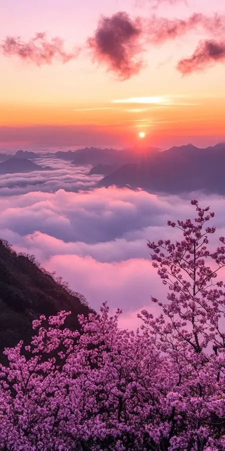 printemps Fond d'écran printemps pour mobile 37 recherche par mot clé unique.