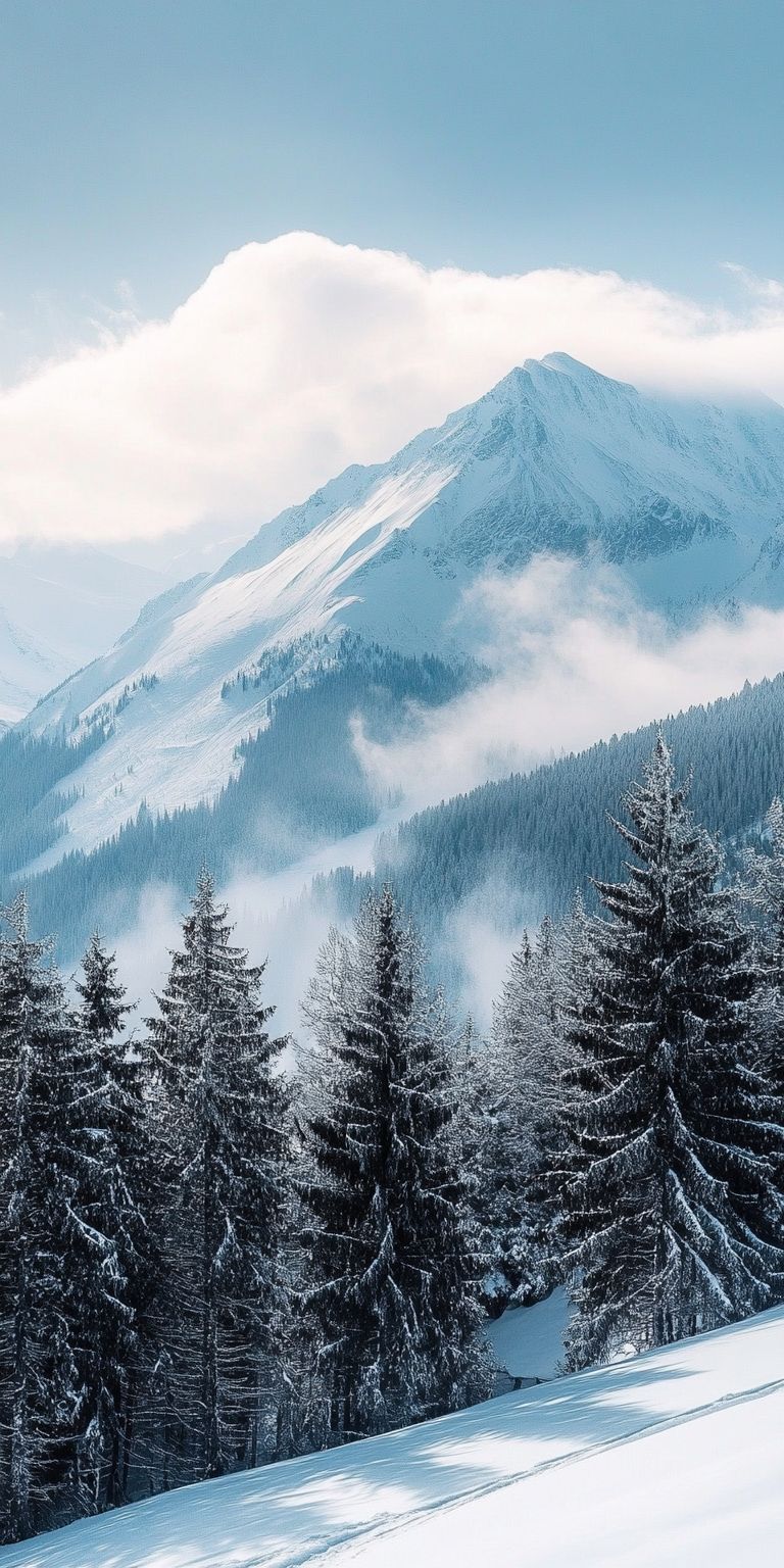 Fond d'écran ski pour mobile 56