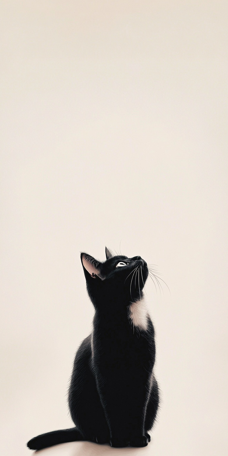 Fond d'écran chat pour mobile 29