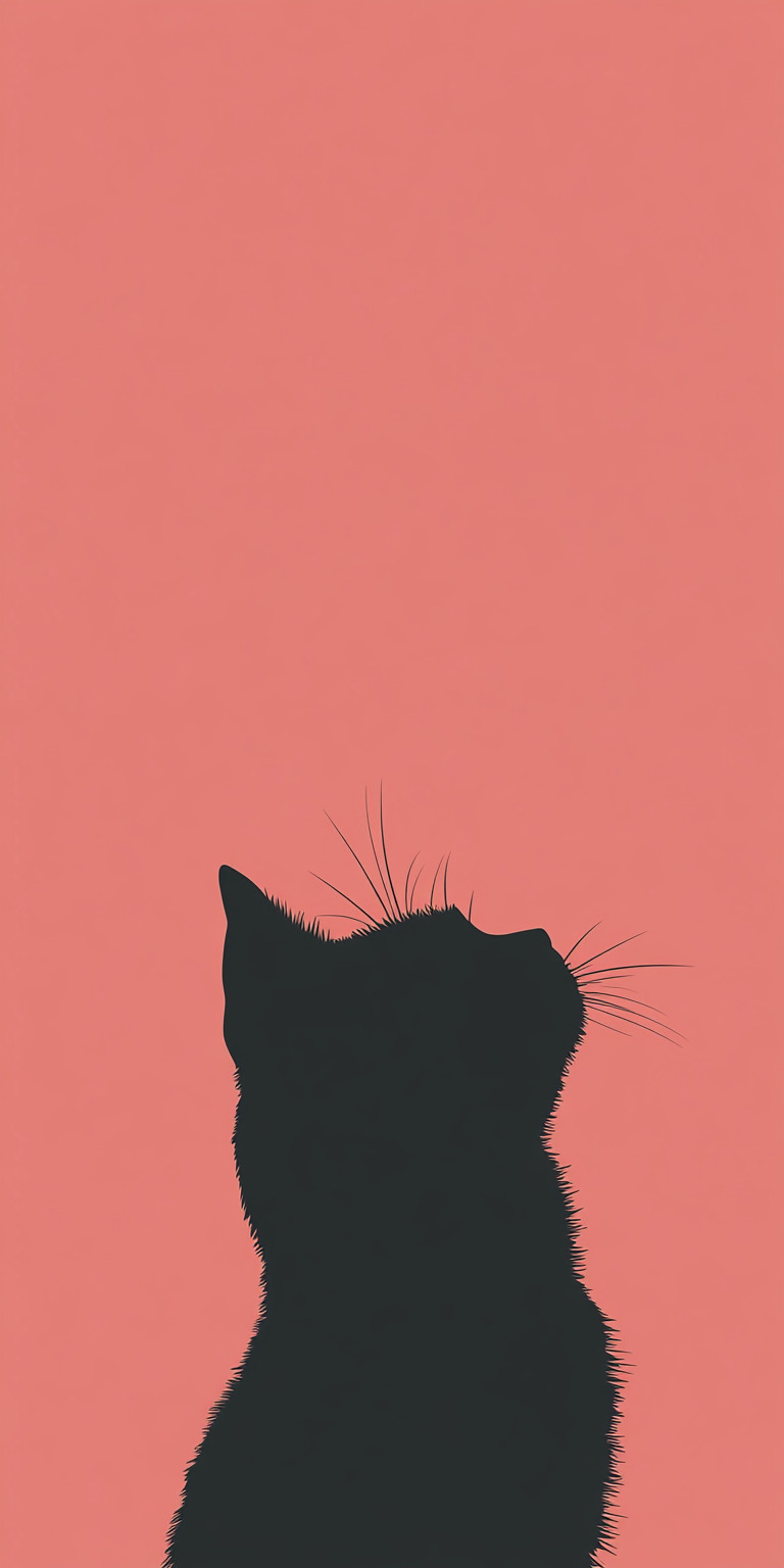 Fond d'écran chat pour mobile 51