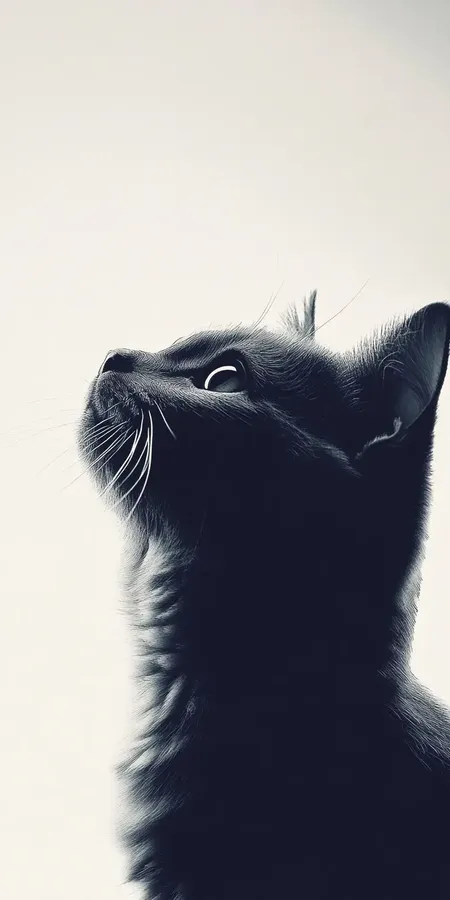 fond d ecran chat pour mobile 27